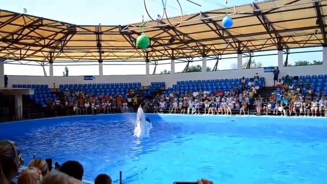 Дельфинарий Немо 2015 Голубицкая смотреть онлайн