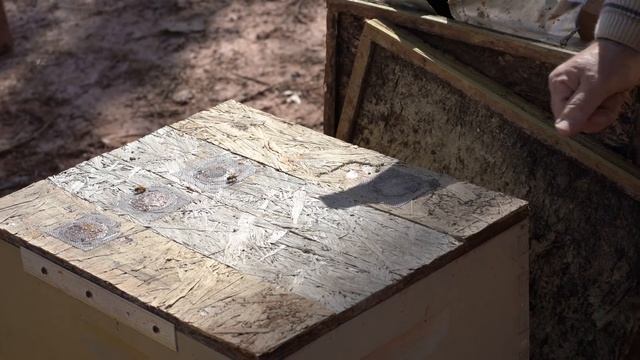 Пасека #110 Отводок на Одну Рамку, Вывод Маток,Борьба с Роением / Пчеловодство для начинающих смотреть онлайн