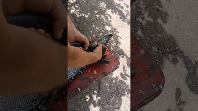 Как быстро почистить щуку. смотреть онлайн