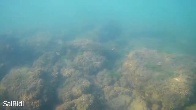 Море 10 августа 2018 года смотреть онлайн