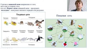 Биология. Биогеоценозы и биоценозы