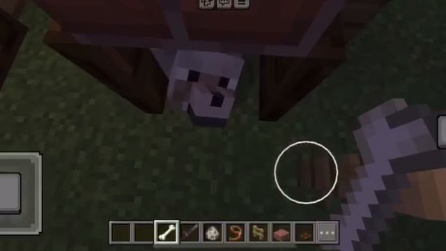 Как сделать место для собаки