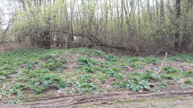 Тайны слов смотреть онлайн