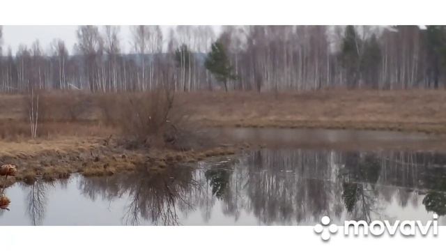 в поисках весенней утки. смотреть онлайн