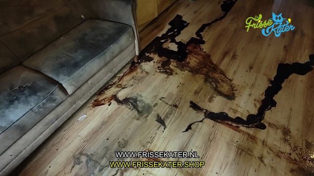 Lijkvinding schoonmaken na 6 maanden | Vlog 98 | Frisse Kater смотреть онлайн