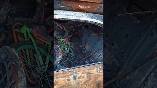 Желаю таких "фейков" в жизнь тем,кто все еще не верит в происходящее смотреть онлайн