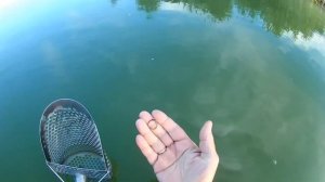 МНЕ просто ВЕЗЁТ в ПОИСКЕ! Это не КОП а МЕЧТА  ПОИСКОВИКА! Подводные находки с металлоискателем!