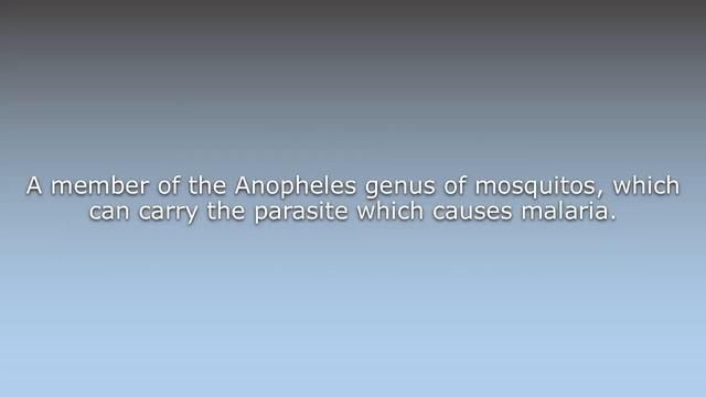 What does Anopheles mean? смотреть онлайн