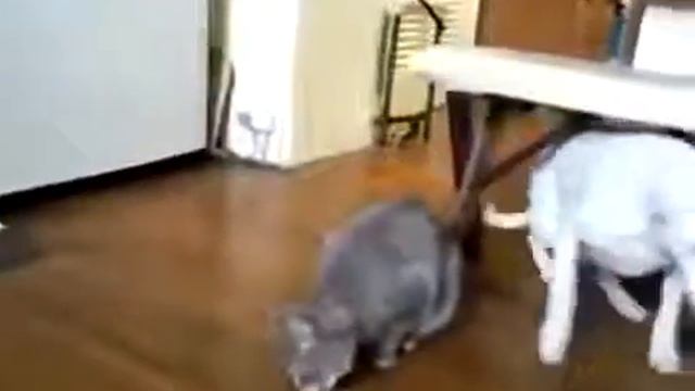 всем приятного аппетита смотреть онлайн