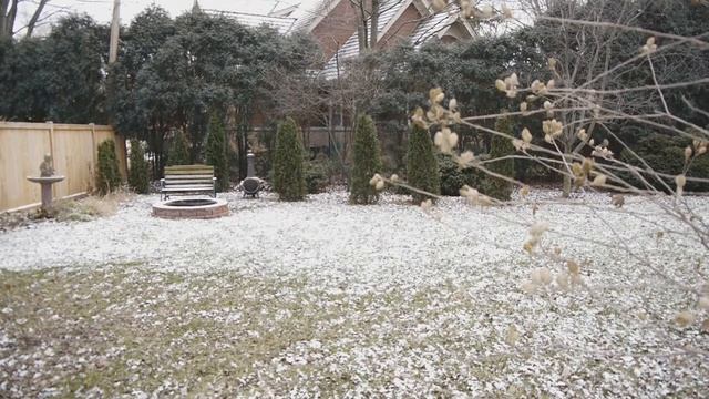 Panasonic Gh2 Test Video смотреть онлайн