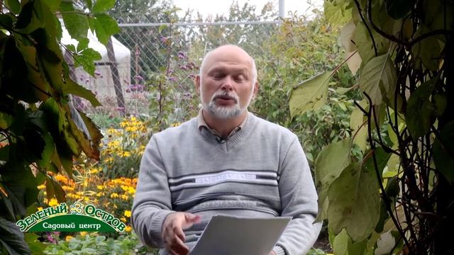 О новом сорте земляники садовой Зеленый остров смотреть онлайн