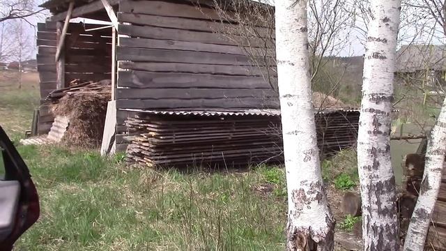 Зачем АИСТ это делает!? Вывожу с СОЛНЕЧНОГО УЧАСТКА... Пчелки и Прощание с ДУБОМ-Великаном в ДЕРЕВН смотреть онлайн