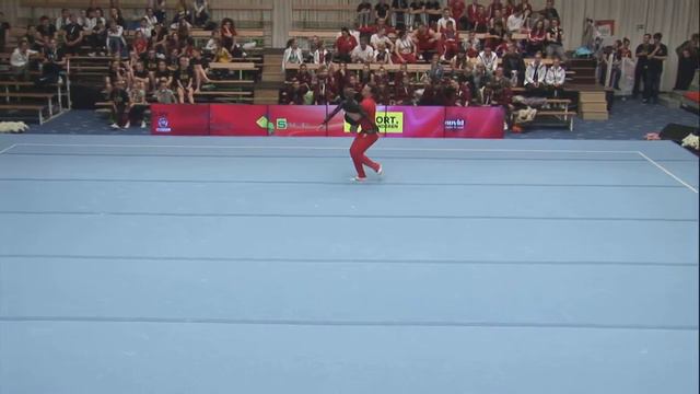 FIAC 2017 SEN DYN TSITL Goris Levi Anthonissen Jade смотреть онлайн