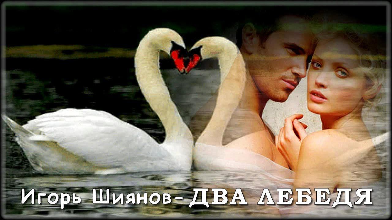 Игорь Шиянов - Два лебедя | Шансон Юга смотреть онлайн