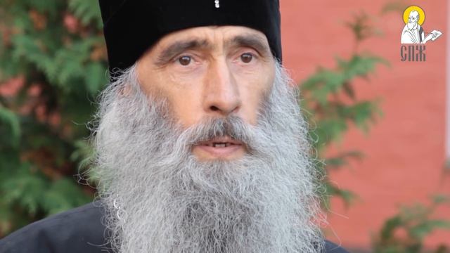 "Ми не поступимося нашими святинями". Інтерв'ю Владики Сергія, митрополита Тернопільського смотреть онлайн