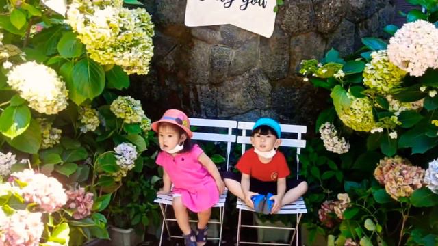 Travel Vlog Camellia Hill смотреть онлайн