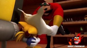 Соник Бум RYTP: Появление дикой Перси