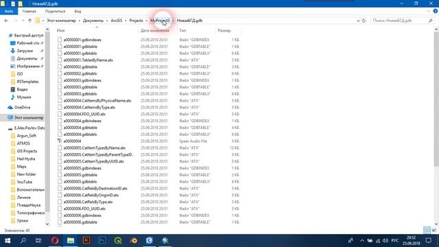 ArcGIS Pro - 4 - Создание файловых баз геоданных смотреть онлайн