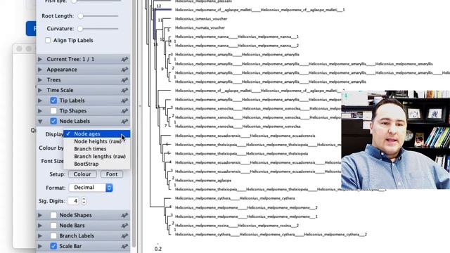 FigTree Explanation Video смотреть онлайн