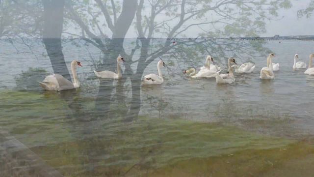 6 мая #Анапа прогулка по набережной +25 много туристов смотреть онлайн