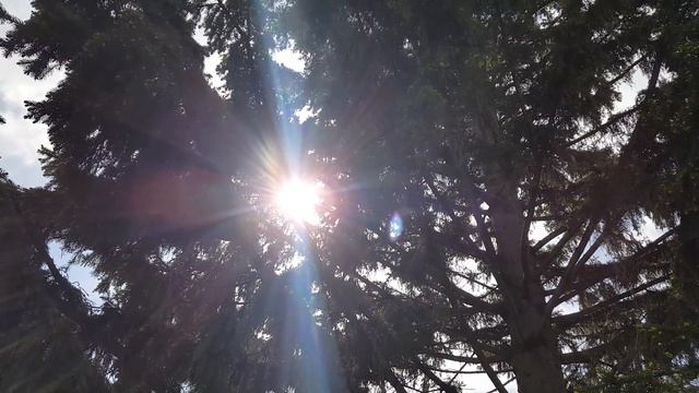 Медитация для расслабления. Тета и дельта состояния. Отдохните! смотреть онлайн