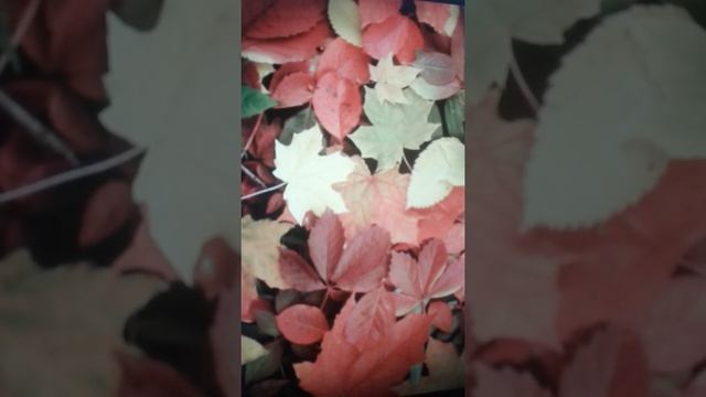 Сказка от феи из страны сказок