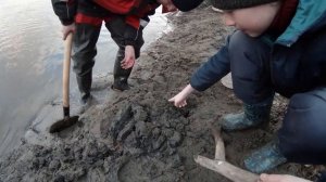 Как накопать вьюна миногу в мае для закидушек рыбалка 2021