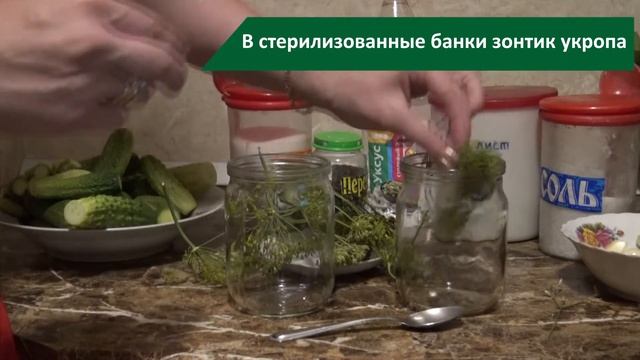 Самый простой и вкусный рецепт маринованных огурцов смотреть онлайн