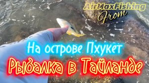 Морская рыбалка с берега в Тайланде (Пхукет). Что тут клюёт на микроджиг? В деле Dayo Delicate.