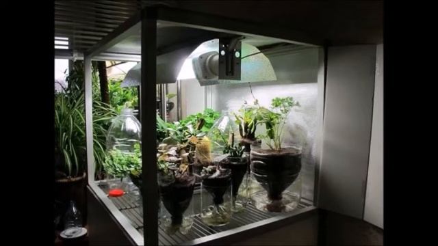 Элемент умного дома. Теплица смотреть онлайн