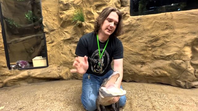 VIP TOUR OF THE REPTARIUM | BRIAN BARCZYK | PODCAST STUDIO | PRIVATE REPTILE COLLECTION | STS-49 смотреть онлайн