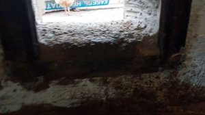 лаз для выхода кур зимой