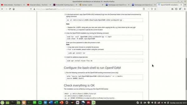 Linux Mint 8 - OpenFoam v1912 and Paraview Install no docker