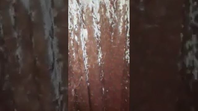 Паплини ЛавДомани??? смотреть онлайн