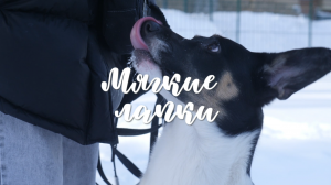 Мягкие лапки | Выпуск #2