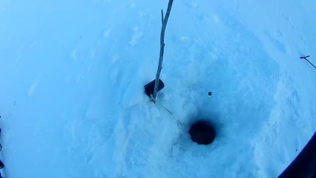 Оставил жерлицы на 3 дня и вот результат! Крайняя рыбалка в уходящем 2021 году! смотреть онлайн