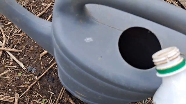 Очень важная подкормка капусты. смотреть онлайн