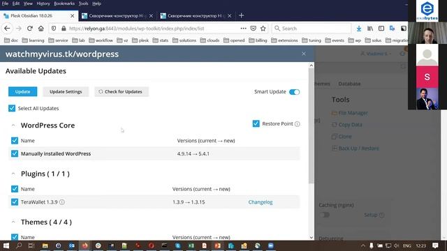 How Plesk makes lives of web agencies easier when it comes to WordPress management? смотреть онлайн
