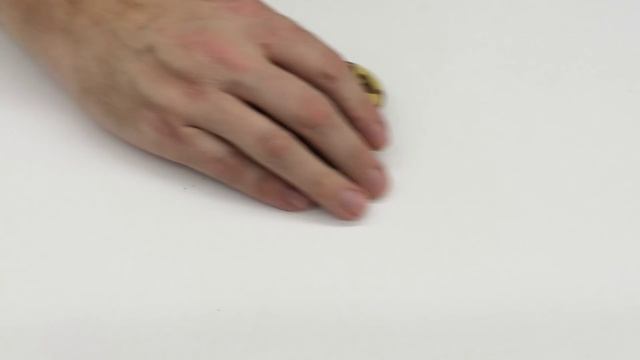Ball Python 2015 Production Update- Part 1 смотреть онлайн