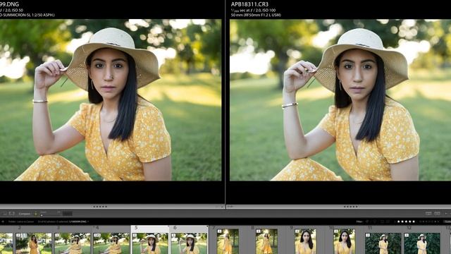 Canon RF 50mm 1.2 L Vs Leica APO-Summicron-SL 50mm F/2