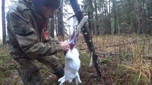 Разделка зайца.