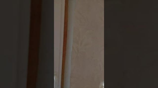 купили квартиру без ремонта Конотоп смотреть онлайн