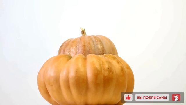 Даже кусочек тыквы вызывает необратимые процессы в организме человека