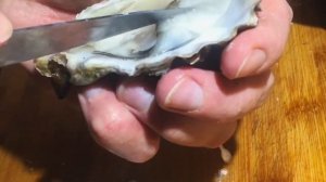 Как открыть устрицы #устрицы #seafood
