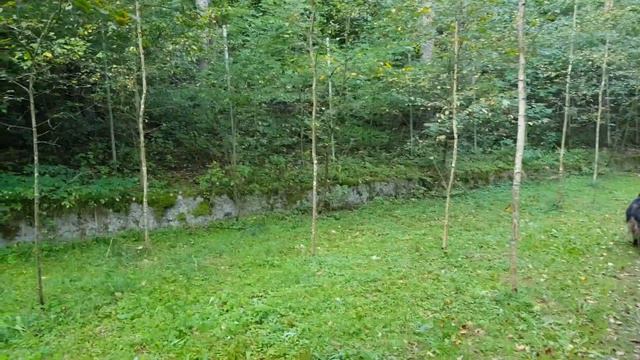 Почему мы не помним прошлые жизни смотреть онлайн