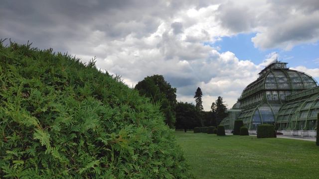 Palmenhaus beim Schloss Schönbrunn Palace. Garten Spaziergang. Mi Note 10 Lite und DJI Osmo Mobile смотреть онлайн