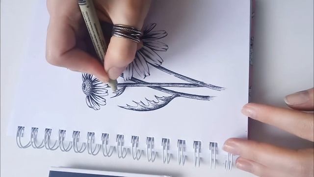Pen and ink drawing | how to draw flowers | как рисовать цветы ручкой | part 2 смотреть онлайн