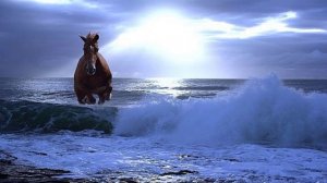 "Лошади в океане" стихотворение Бориса Слуцкого