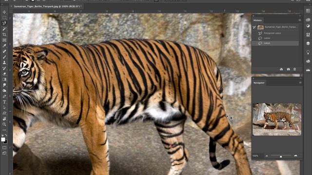 GD1/Photoshop: Part 3/Selection Tools смотреть онлайн