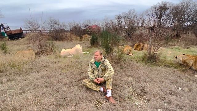 Это не видео, а ЛЬВИНЫЙ БОЕВИК ! Человек-лев со своими львами поддержал нового мэра Феодосии!
